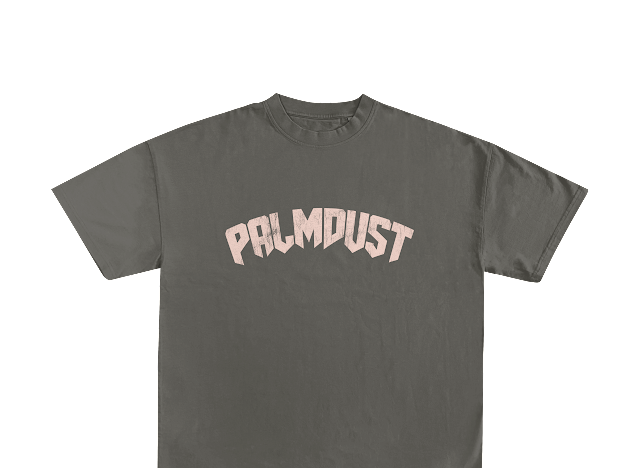 Oversized Grey PalmDust T-shirt